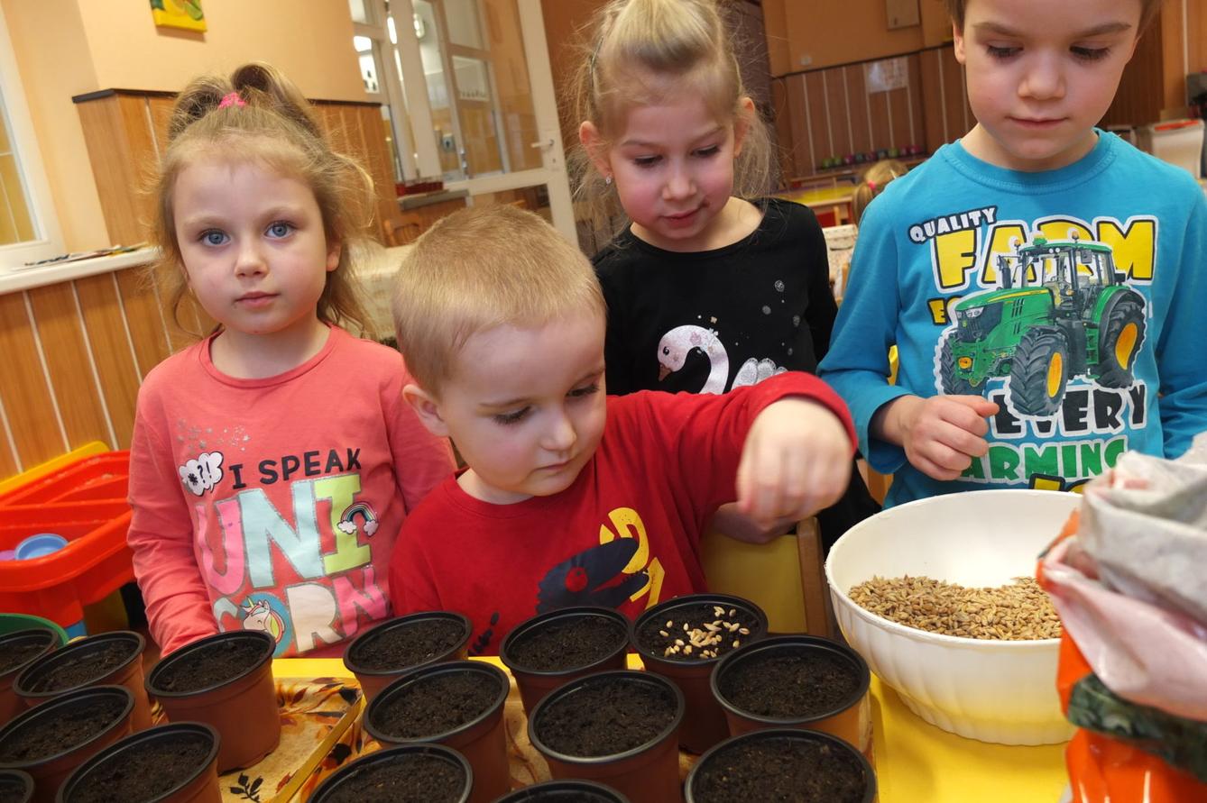 Jaro 2018, setí semínek a příprava na Velikonoce - 2