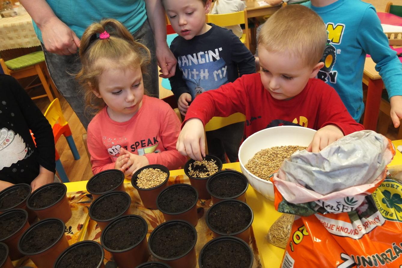 Jaro 2018, setí semínek a příprava na Velikonoce - 3