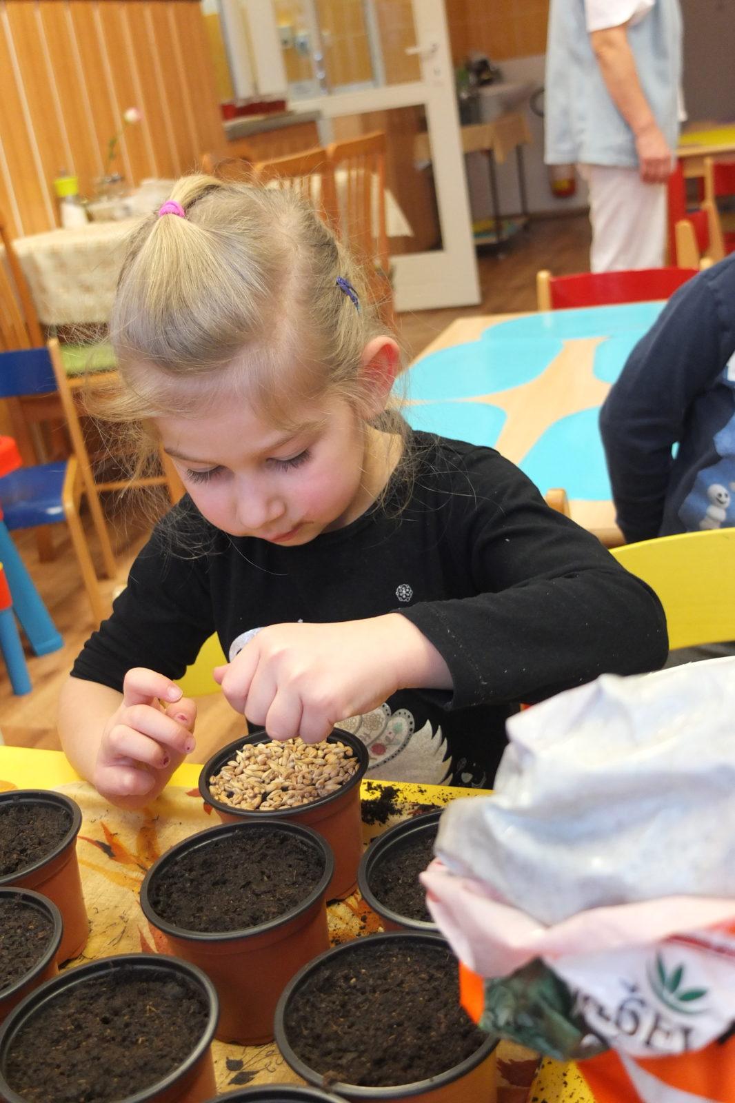 Jaro 2018, setí semínek a příprava na Velikonoce - 4