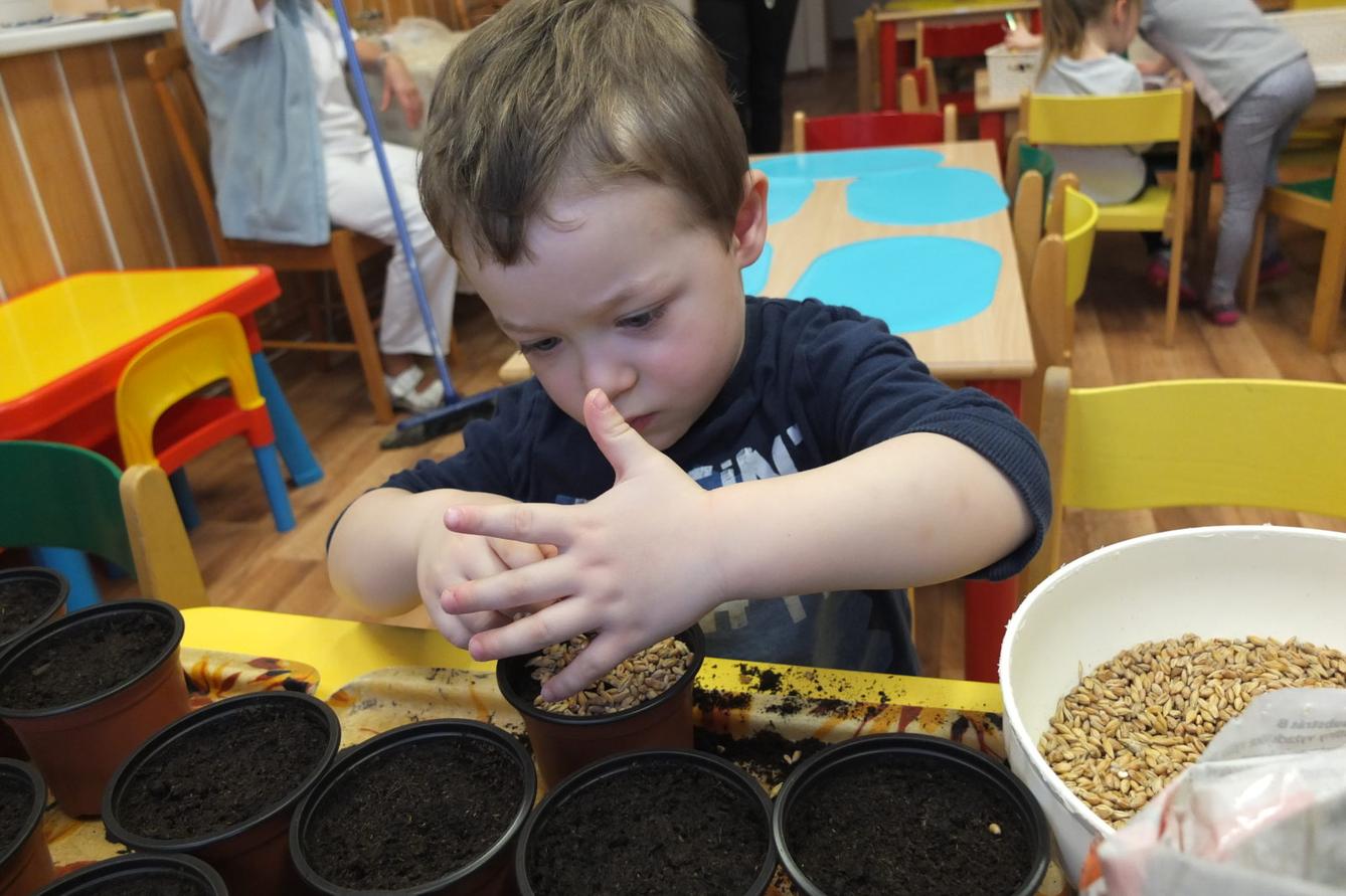 Jaro 2018, setí semínek a příprava na Velikonoce - 7