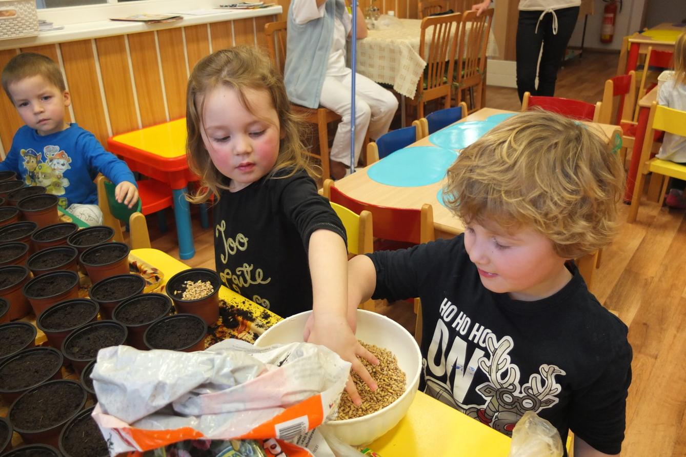 Jaro 2018, setí semínek a příprava na Velikonoce - 8