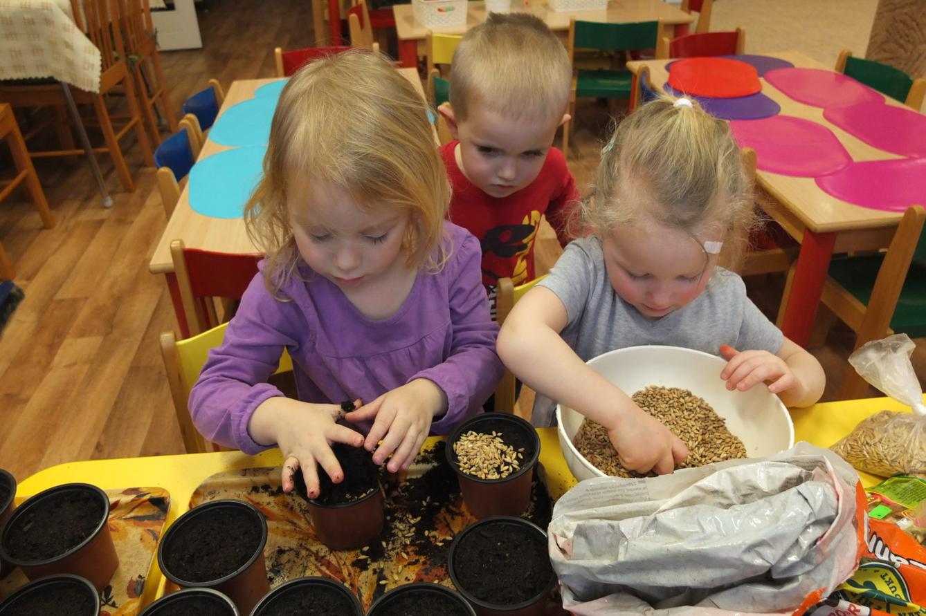 Jaro 2018, setí semínek a příprava na Velikonoce - 13