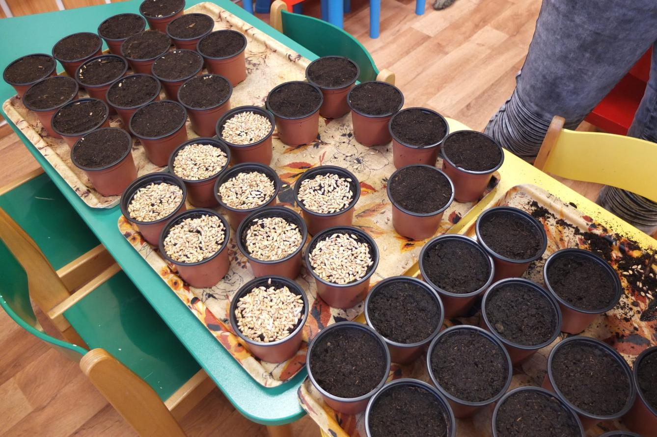 Jaro 2018, setí semínek a příprava na Velikonoce - 17