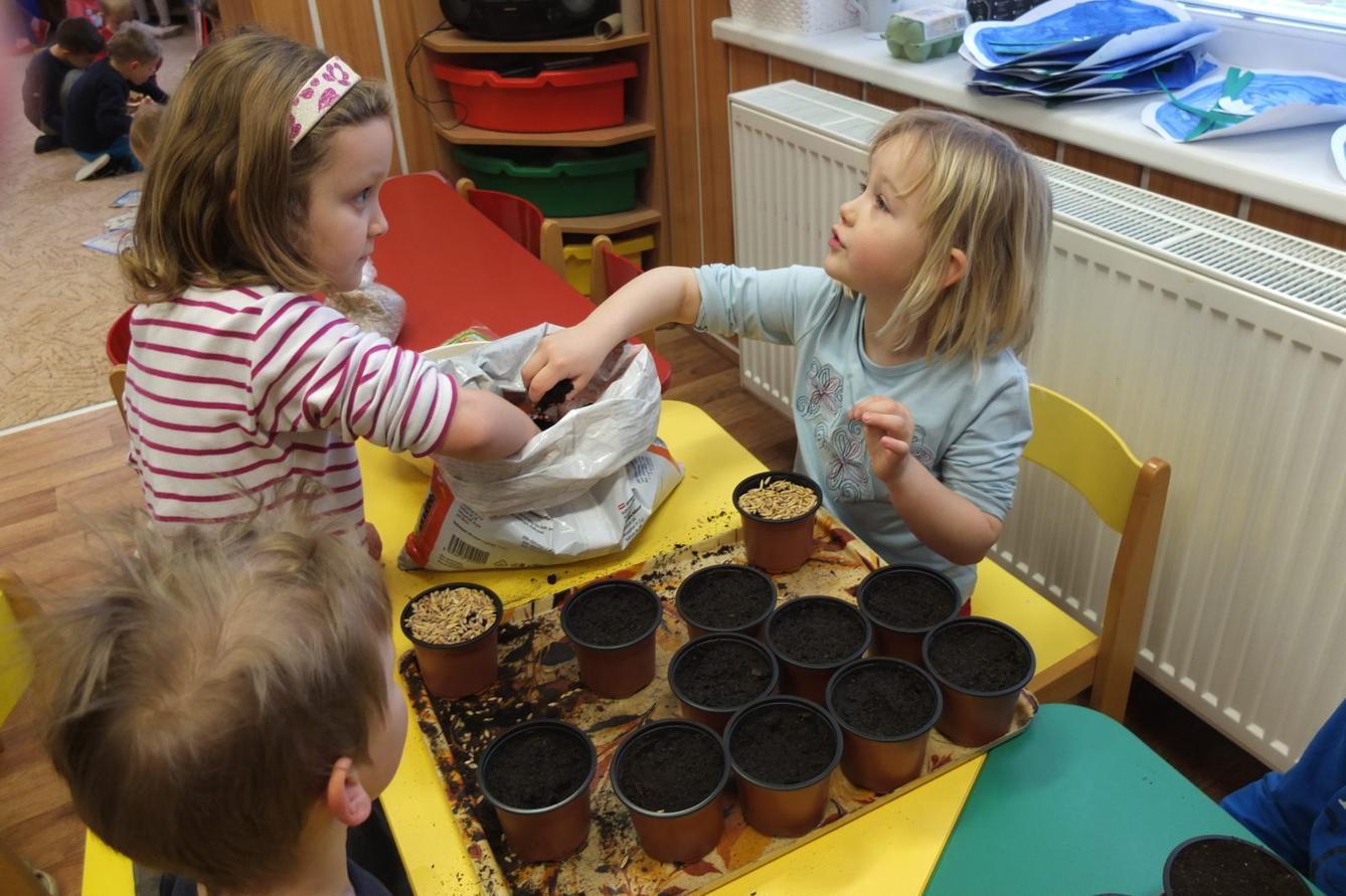 Jaro 2018, setí semínek a příprava na Velikonoce - 19