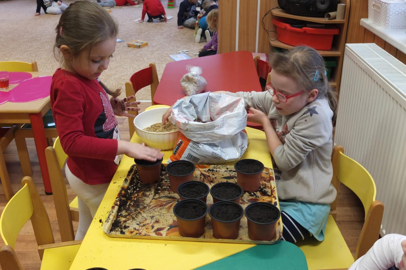 Jaro 2018, setí semínek a příprava na Velikonoce - 23