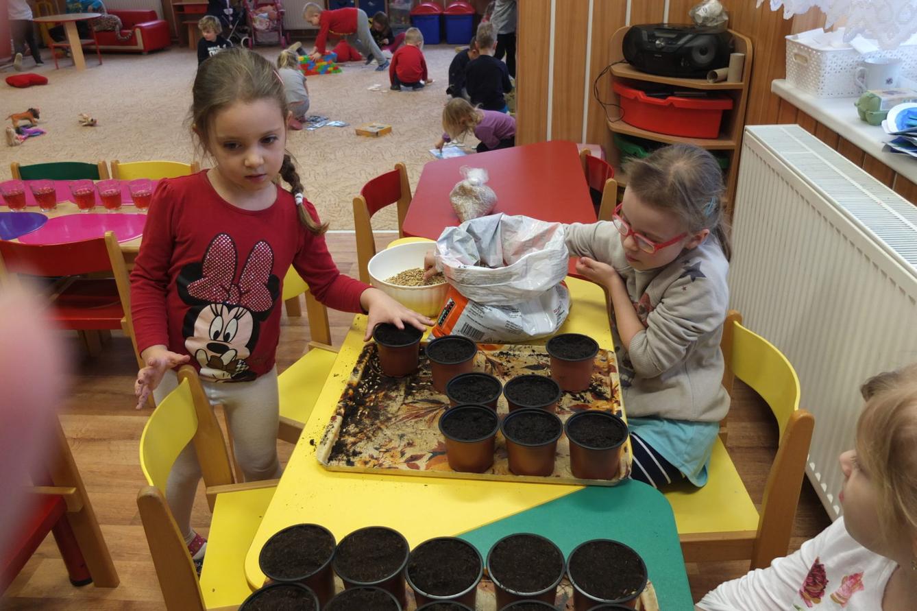 Jaro 2018, setí semínek a příprava na Velikonoce - 24