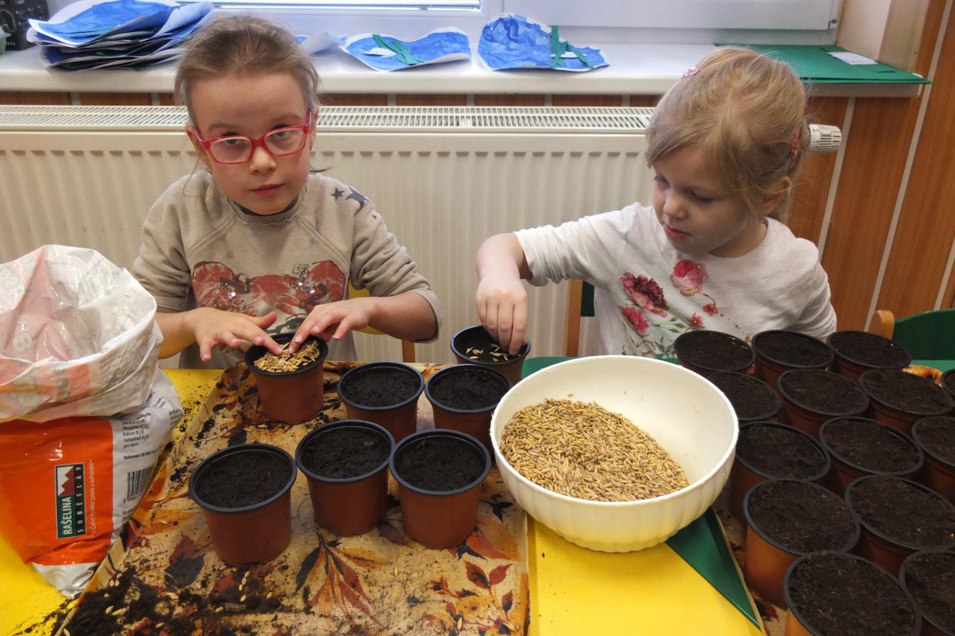 Jaro 2018, setí semínek a příprava na Velikonoce - 25