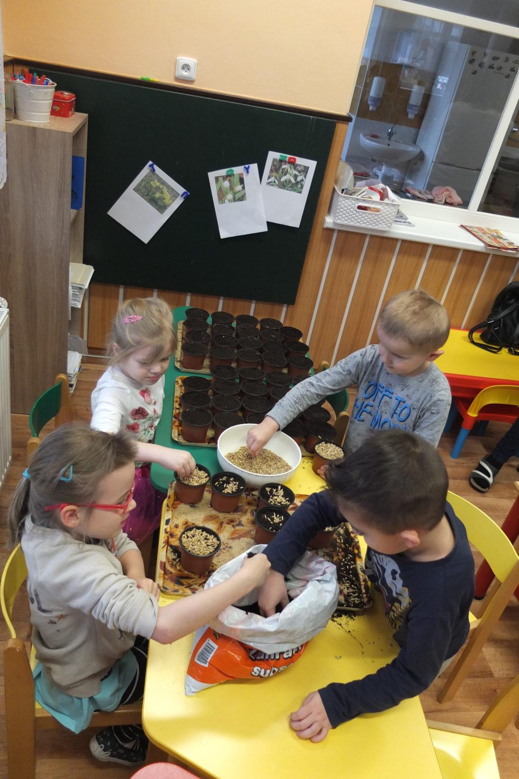 Jaro 2018, setí semínek a příprava na Velikonoce - 29