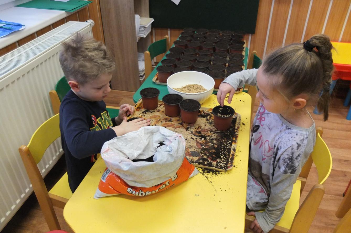 Jaro 2018, setí semínek a příprava na Velikonoce - 33