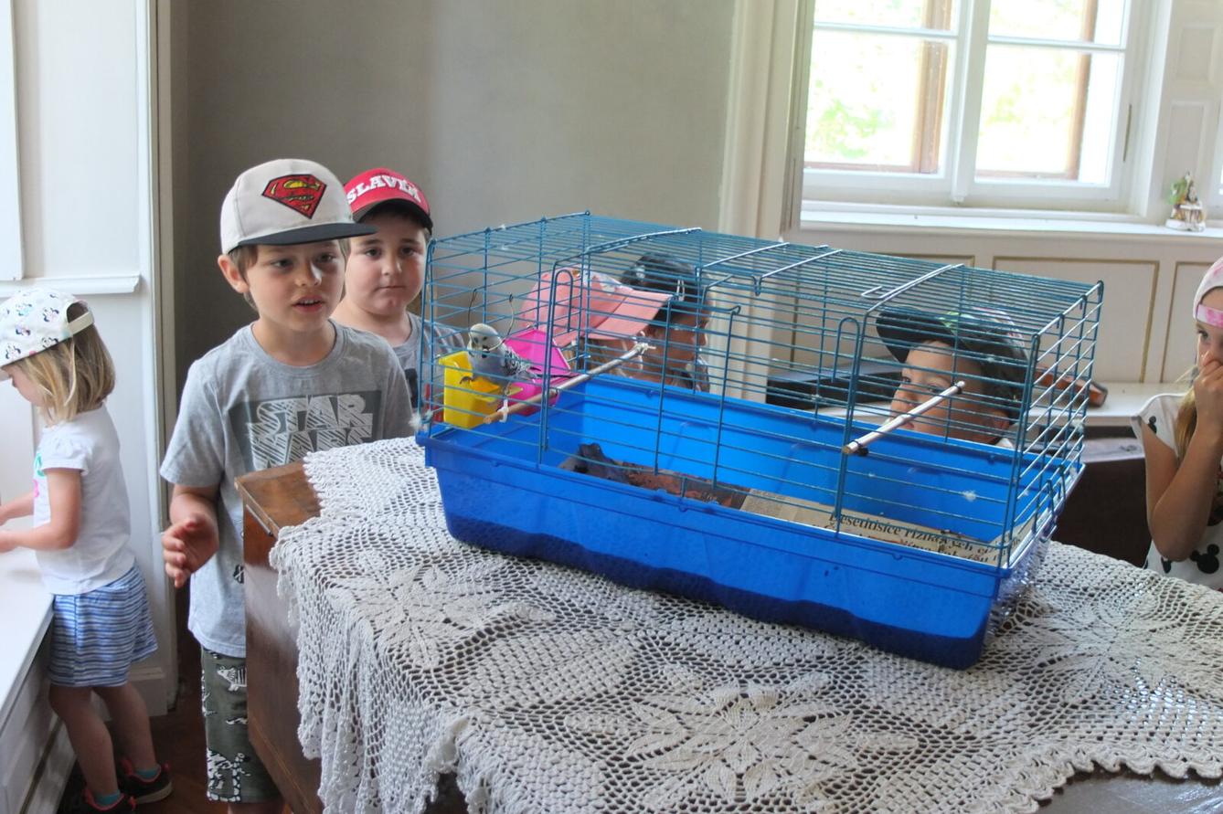 Výlet - Potštejn - 39