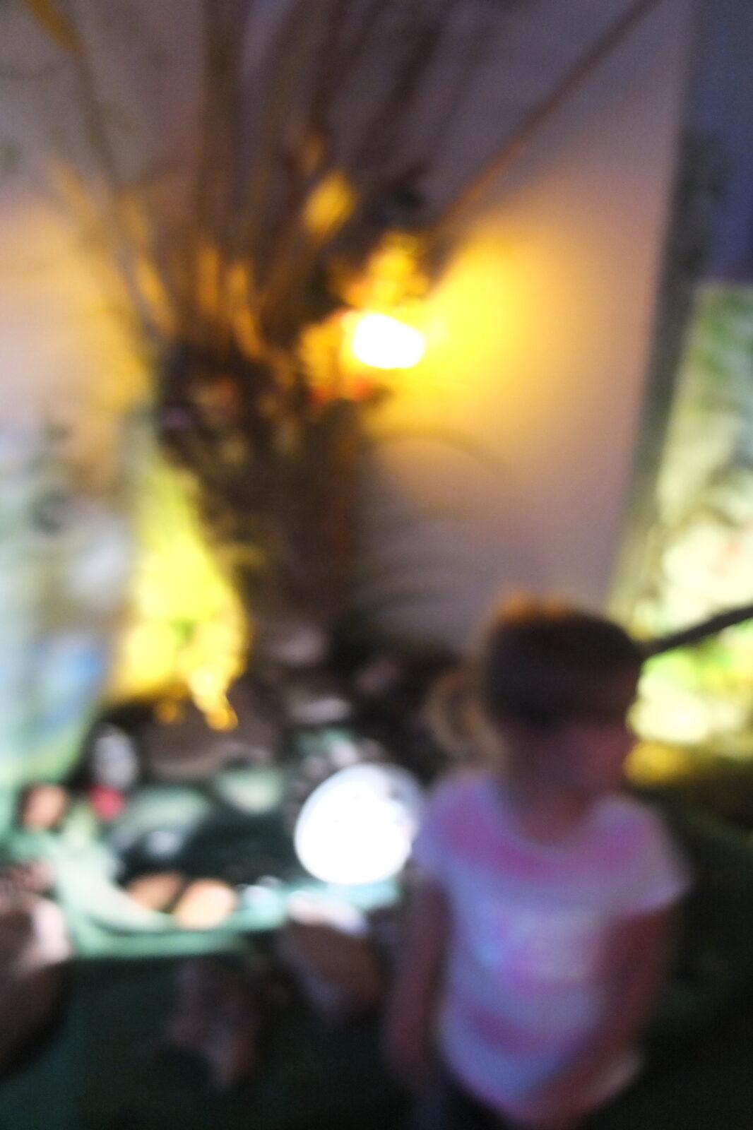 Výlet - Potštejn - 47