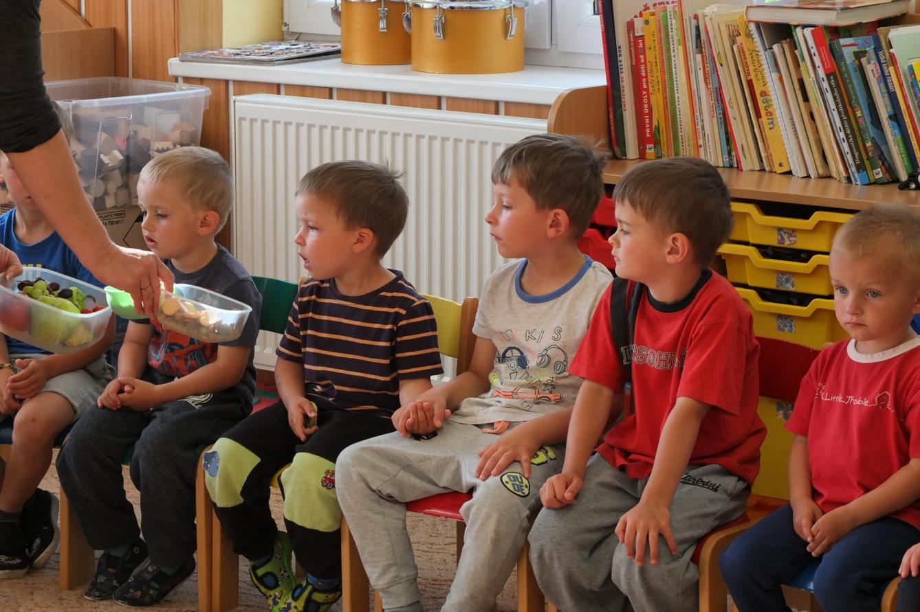 Papoušci aneb létající barevné poklady - 3