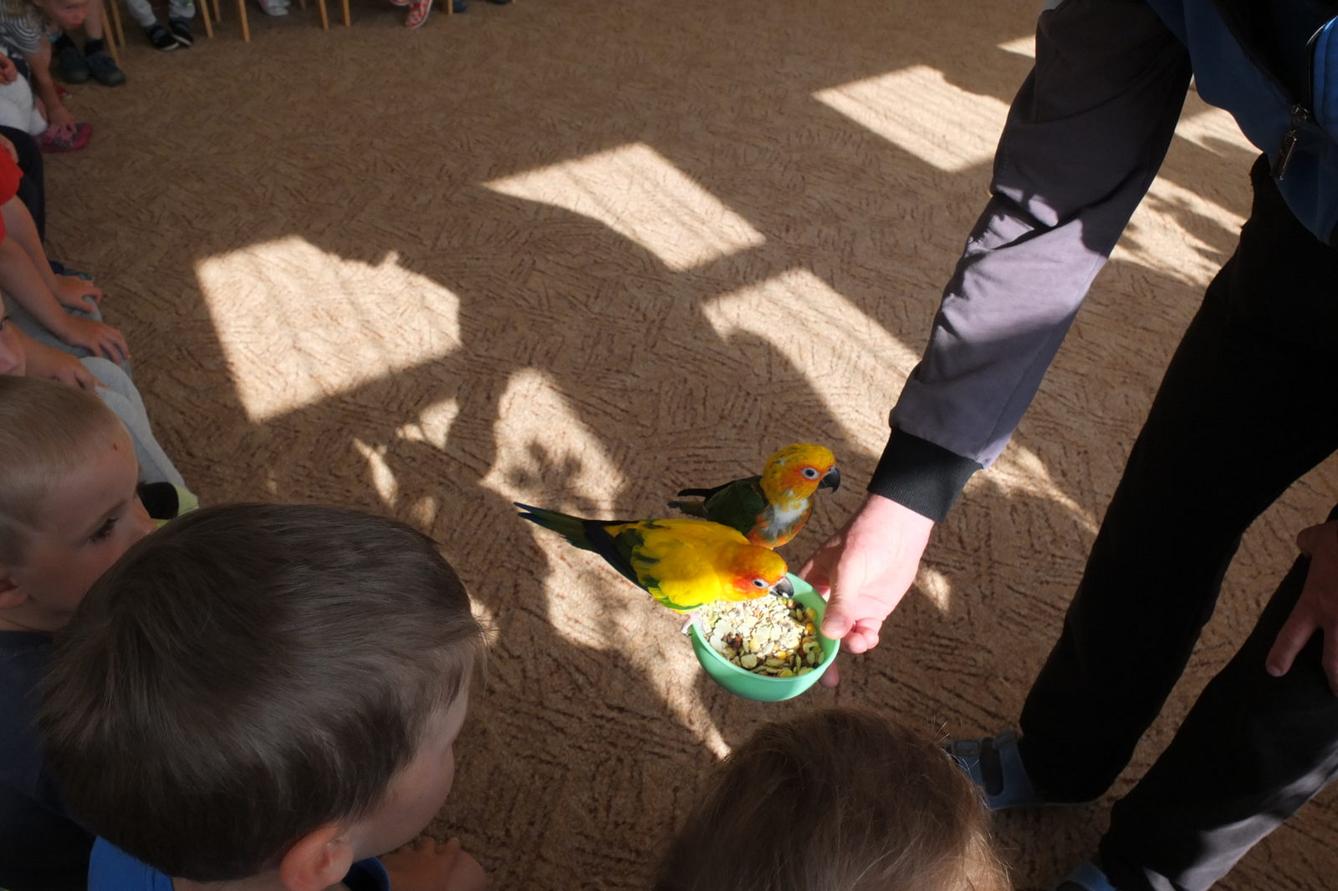 Papoušci aneb létající barevné poklady - 5