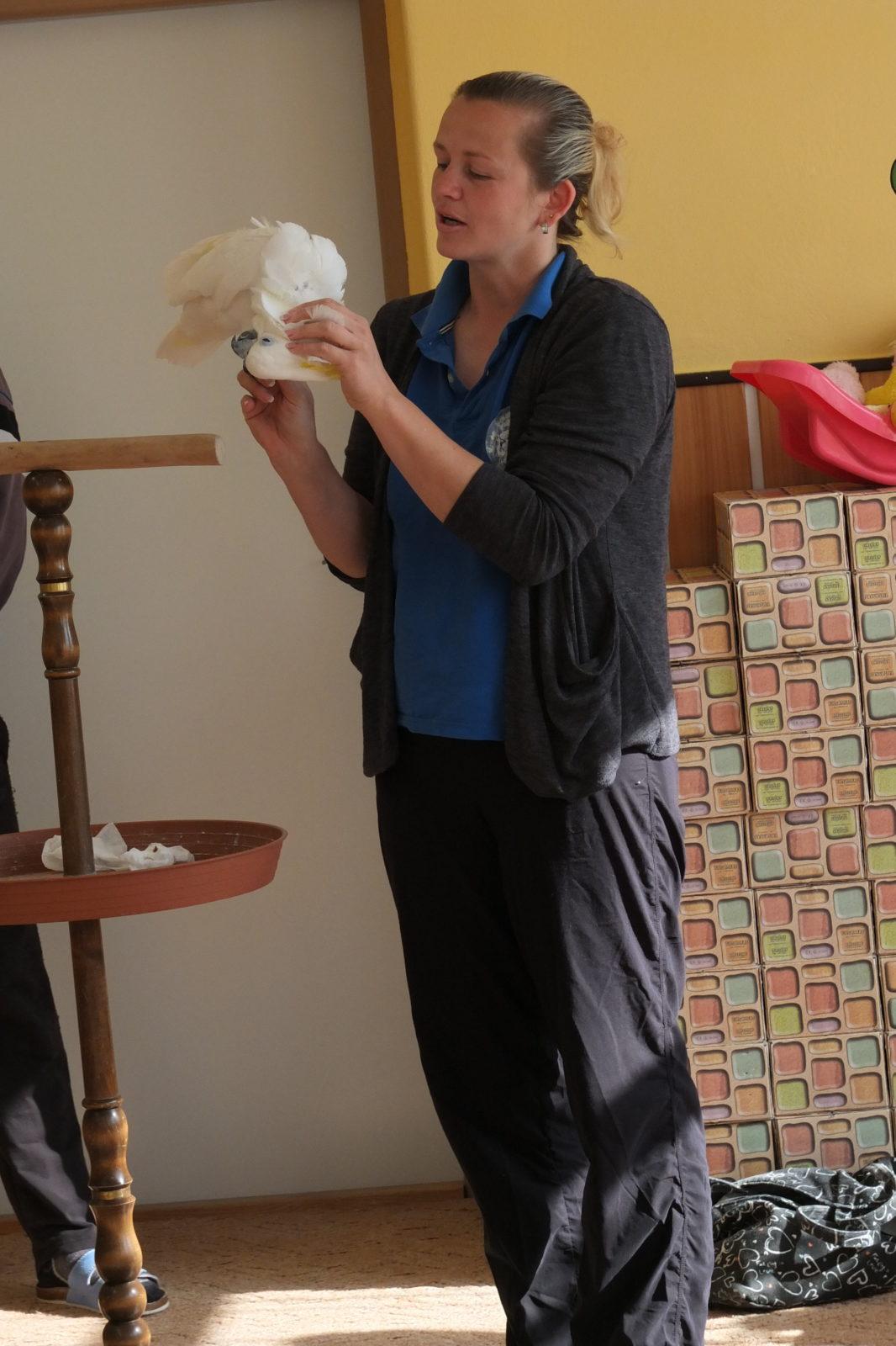 Papoušci aneb létající barevné poklady - 7