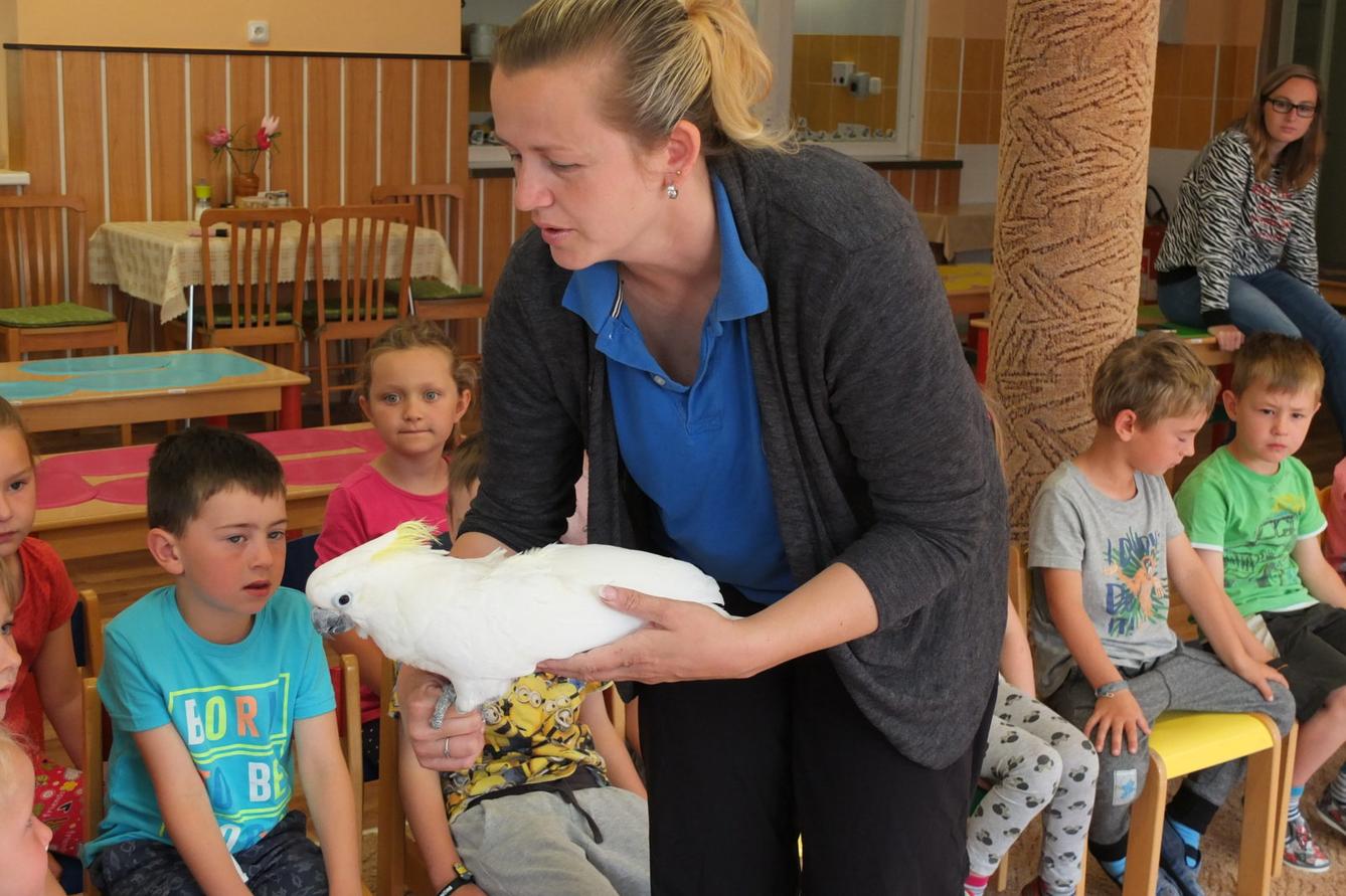 Papoušci aneb létající barevné poklady - 8