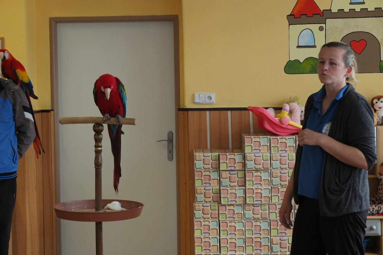 Papoušci aneb létající barevné poklady - 9