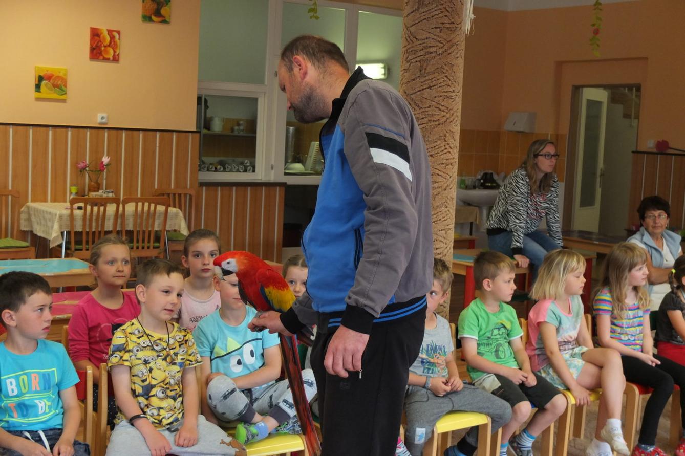 Papoušci aneb létající barevné poklady - 11