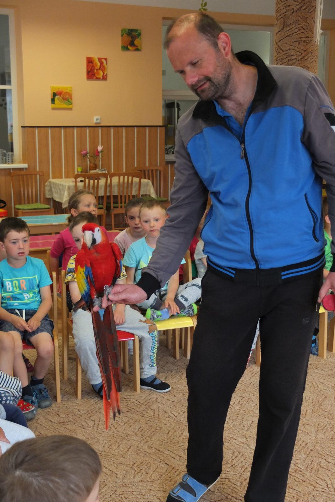 Papoušci aneb létající barevné poklady - 12