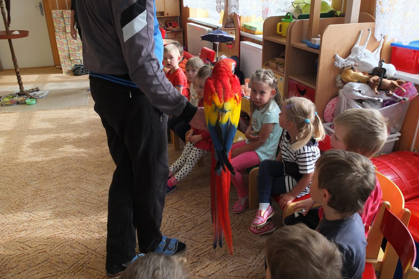 Papoušci aneb létající barevné poklady - 13