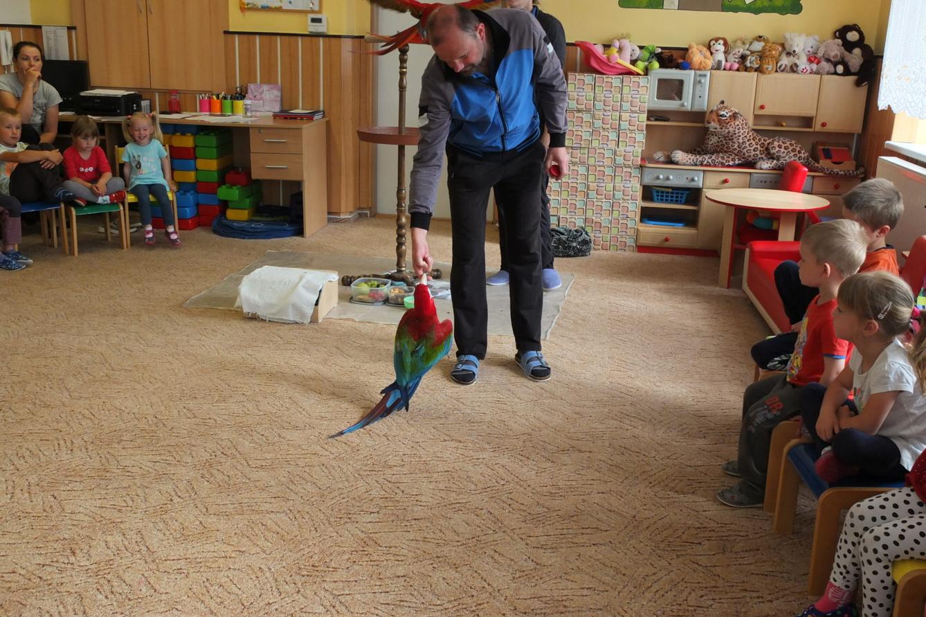 Papoušci aneb létající barevné poklady - 20