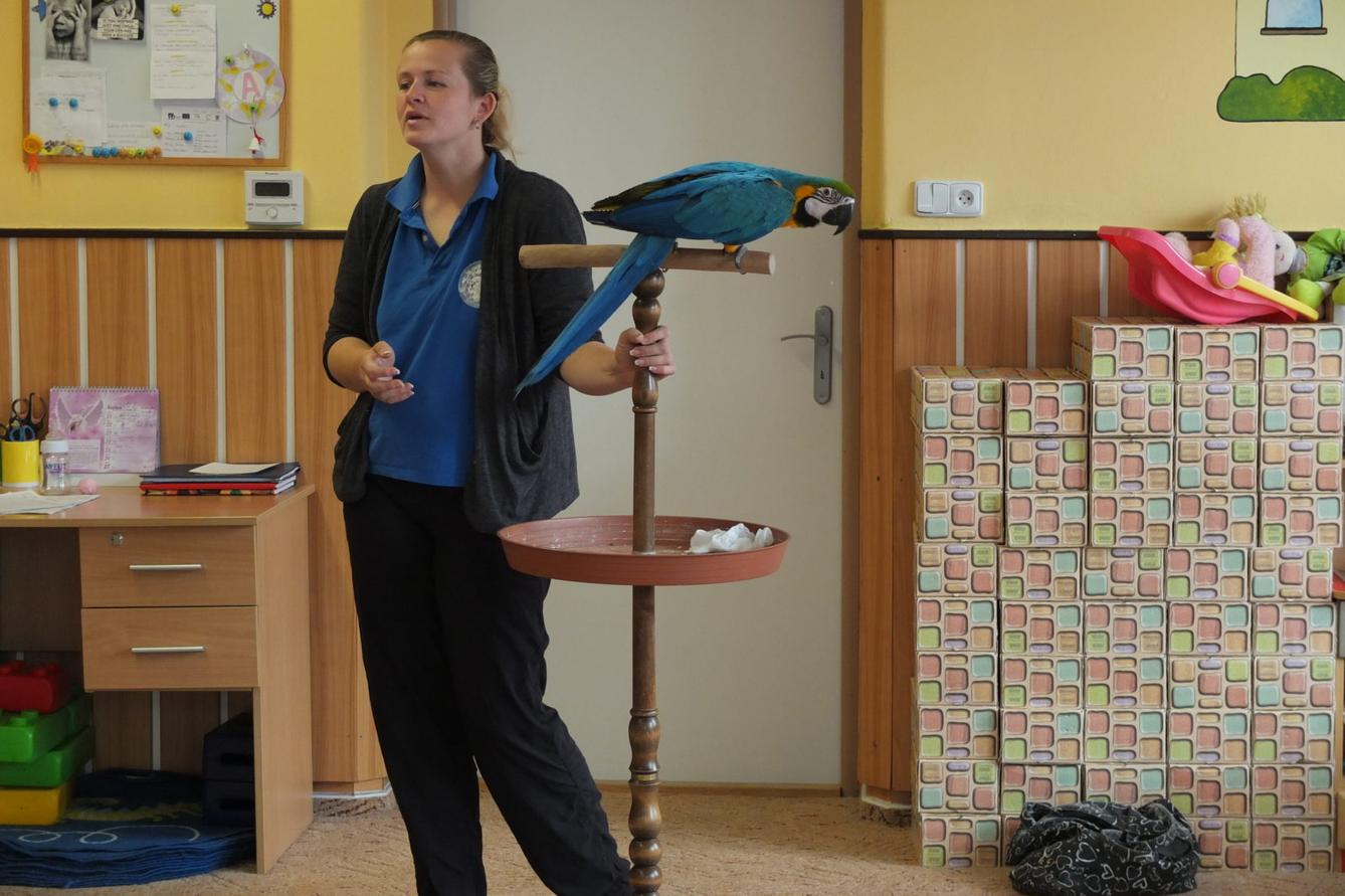 Papoušci aneb létající barevné poklady - 21