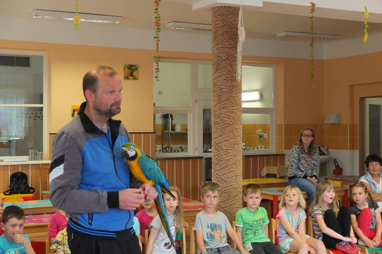 Papoušci aneb létající barevné poklady - 22