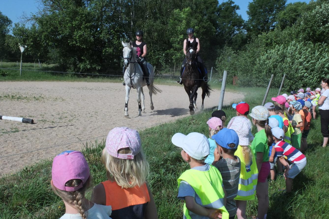 Návštěva u Vincenzů - 2