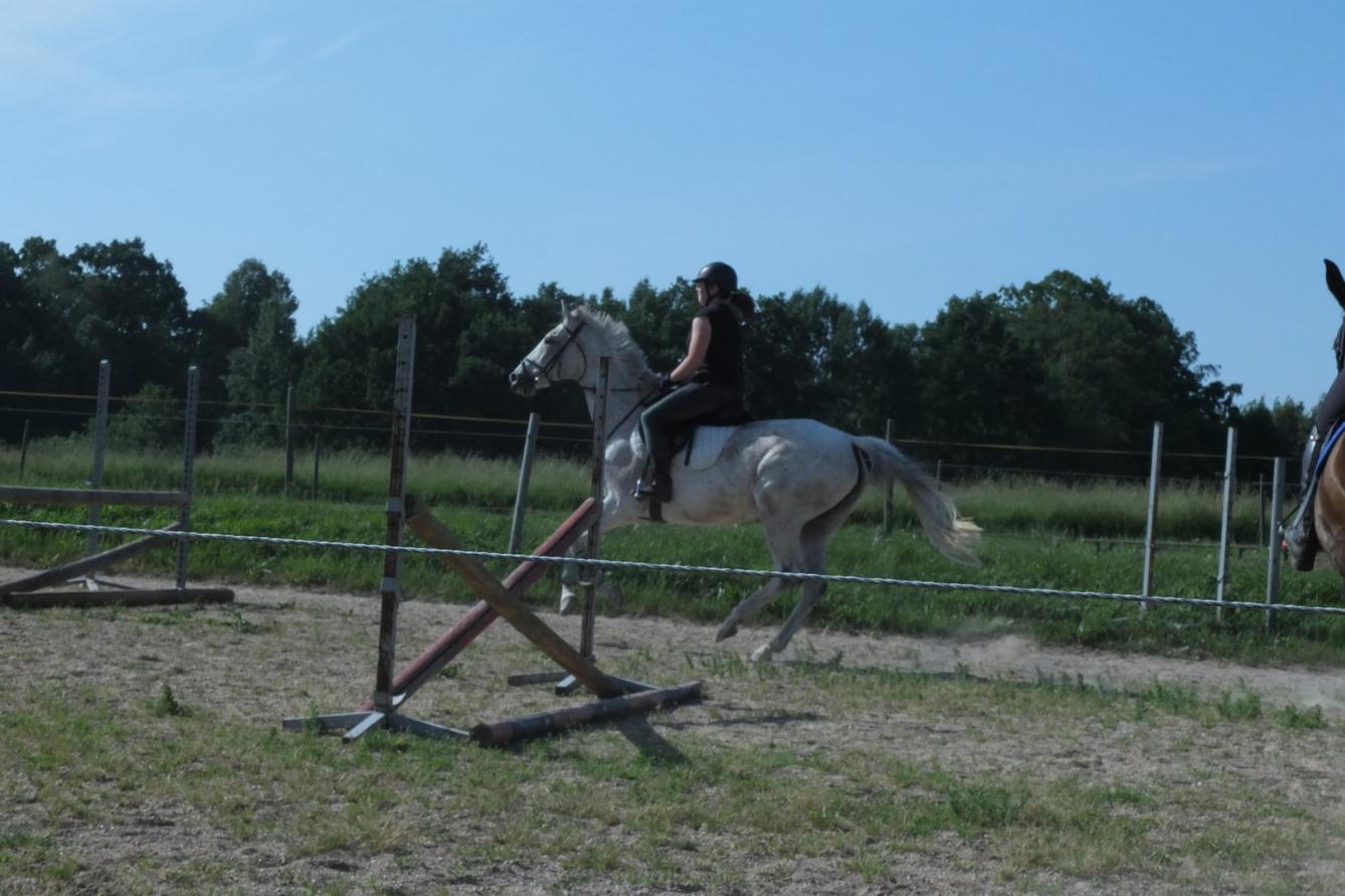 Návštěva u Vincenzů - 4