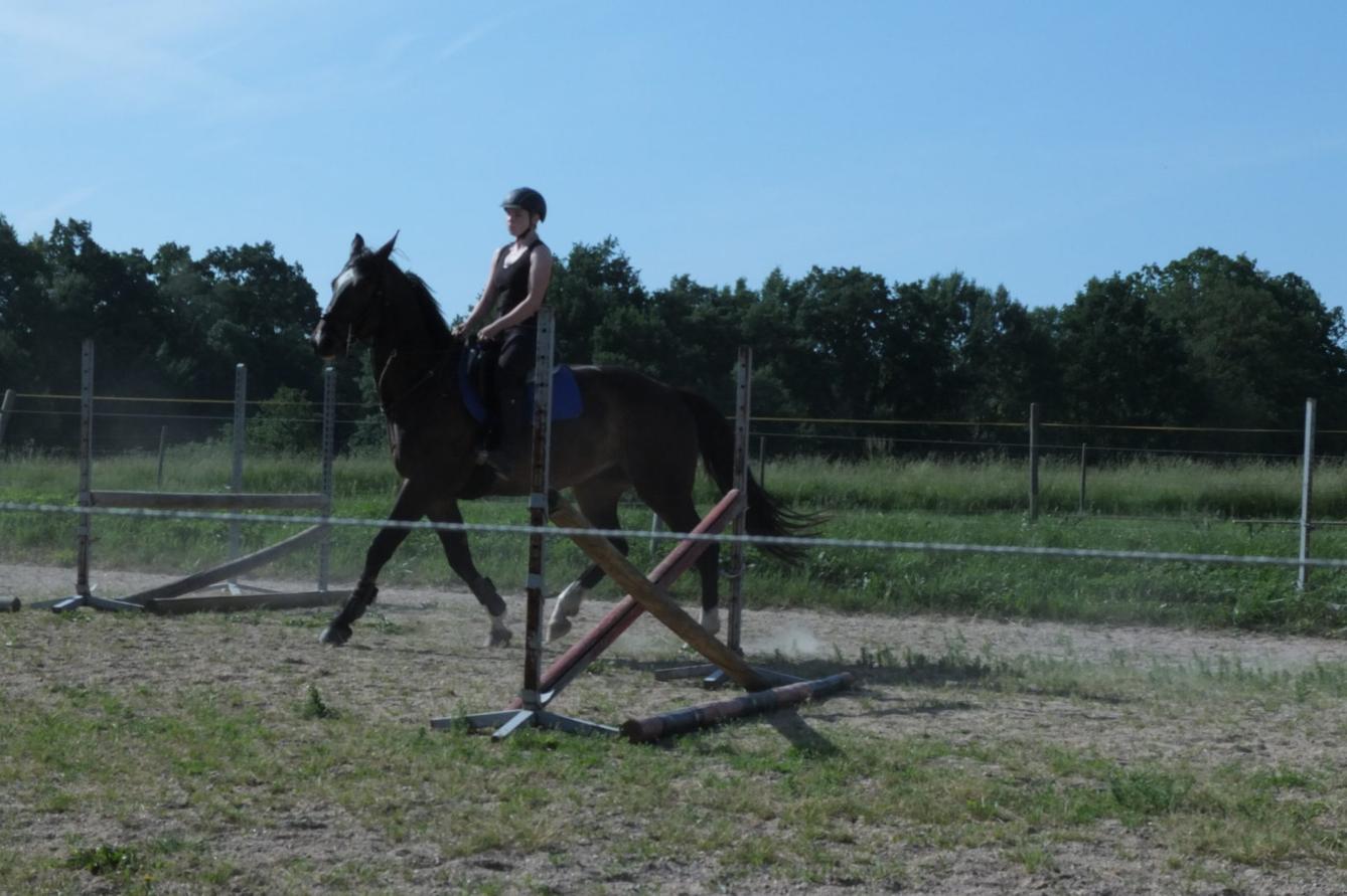 Návštěva u Vincenzů - 5