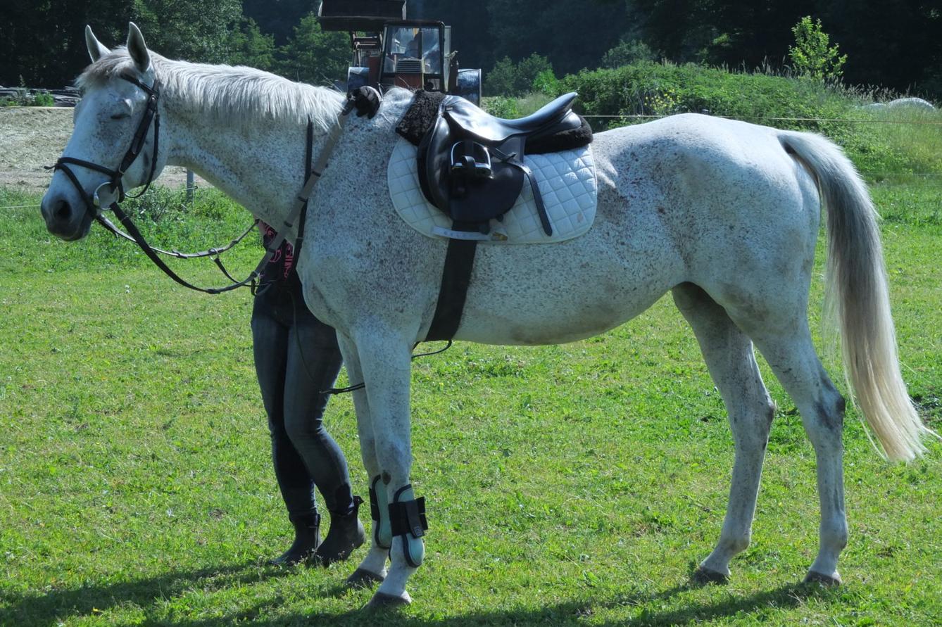 Návštěva u Vincenzů - 16