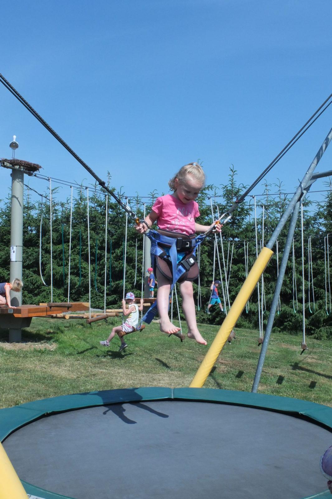 Den dětí v Pinguin parku - 25