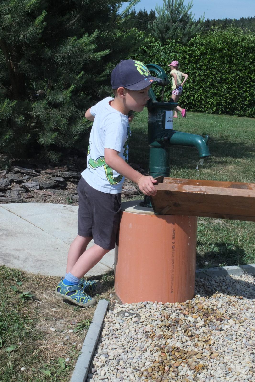 Den dětí v Pinguin parku - 33