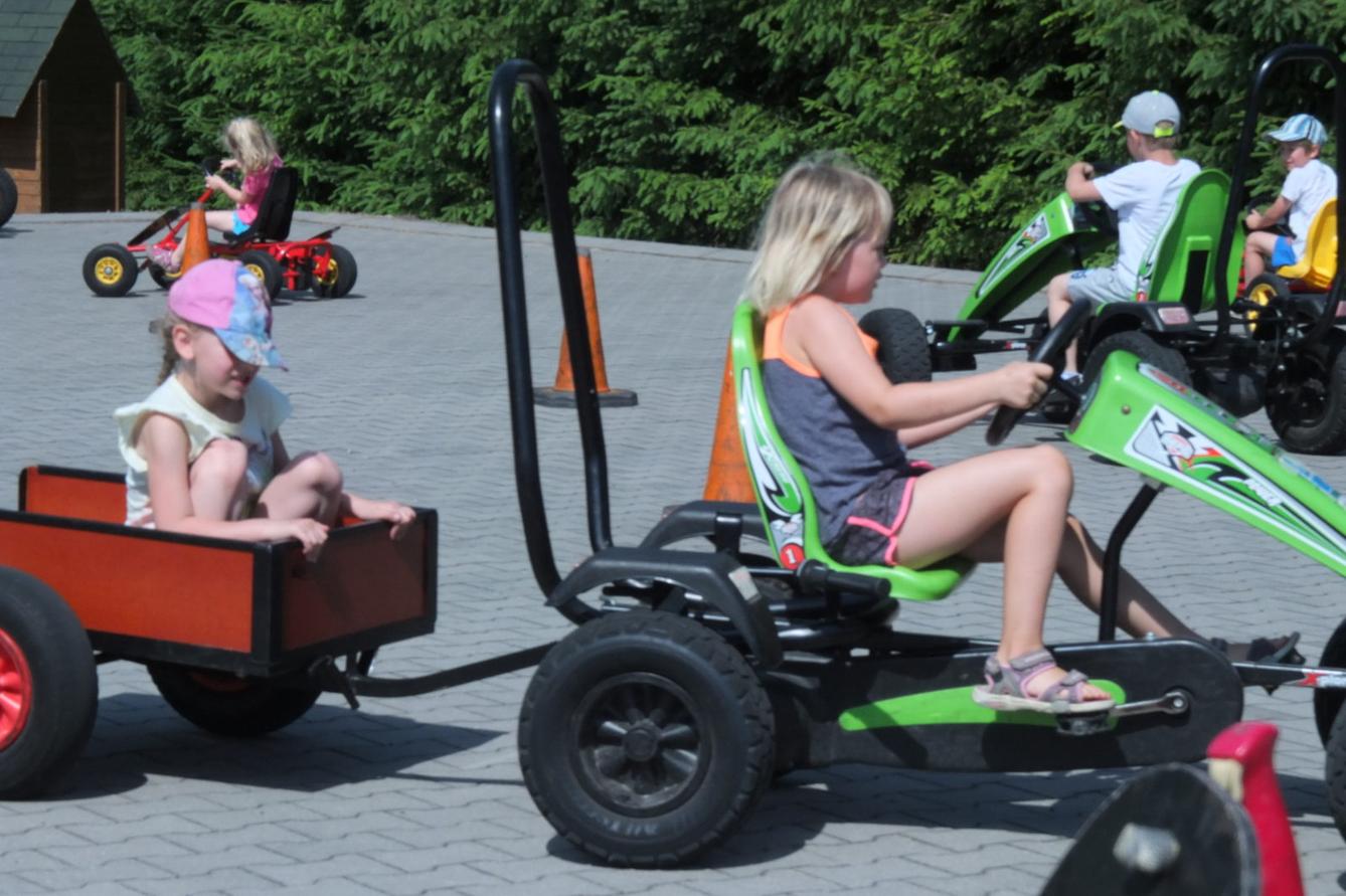 Den dětí v Pinguin parku - 52