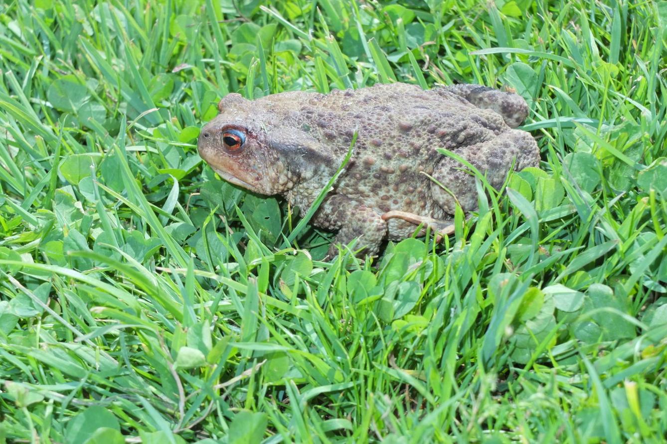 Den dětí v Pinguin parku - 95