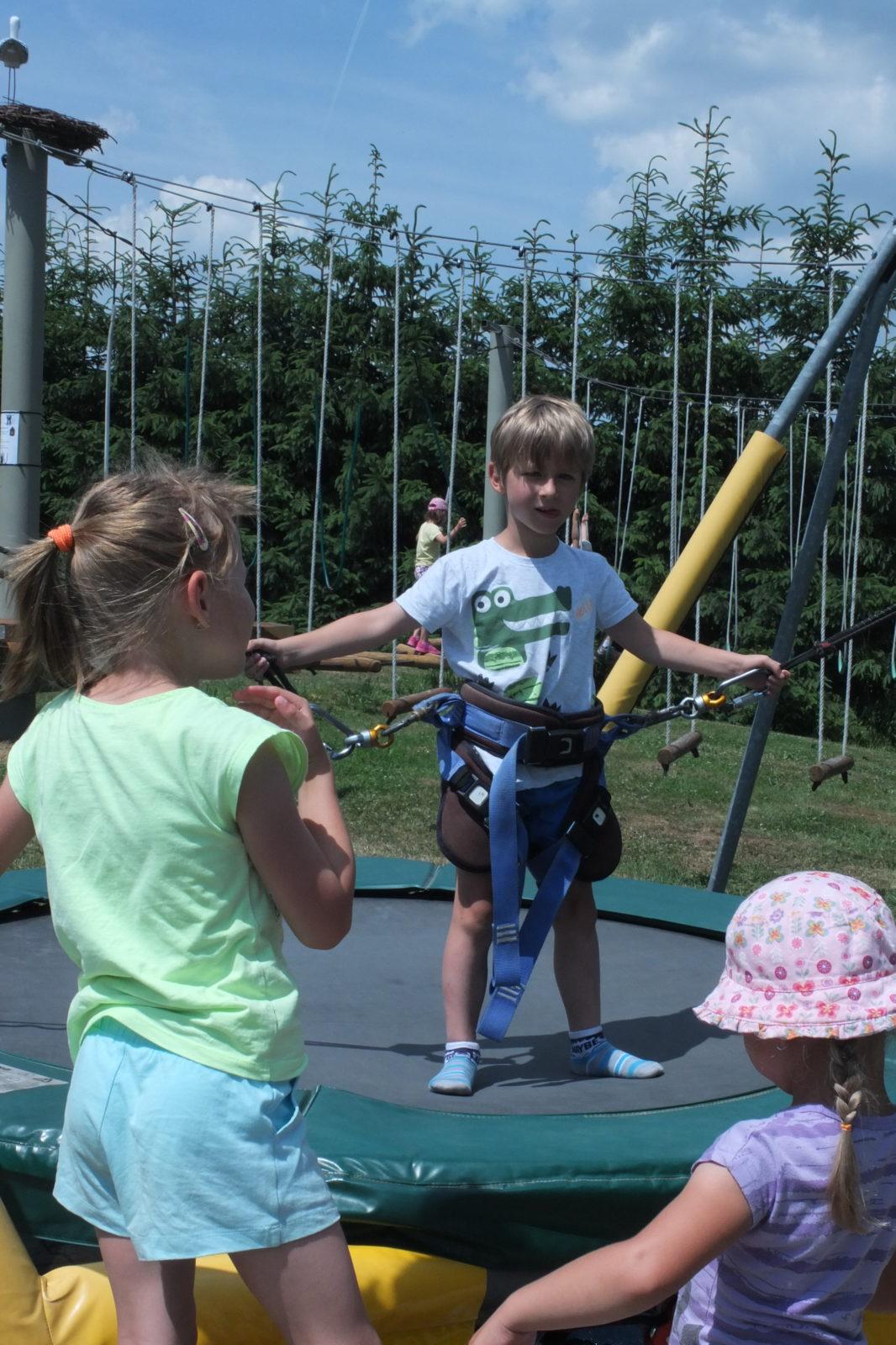 Den dětí v Pinguin parku - 120