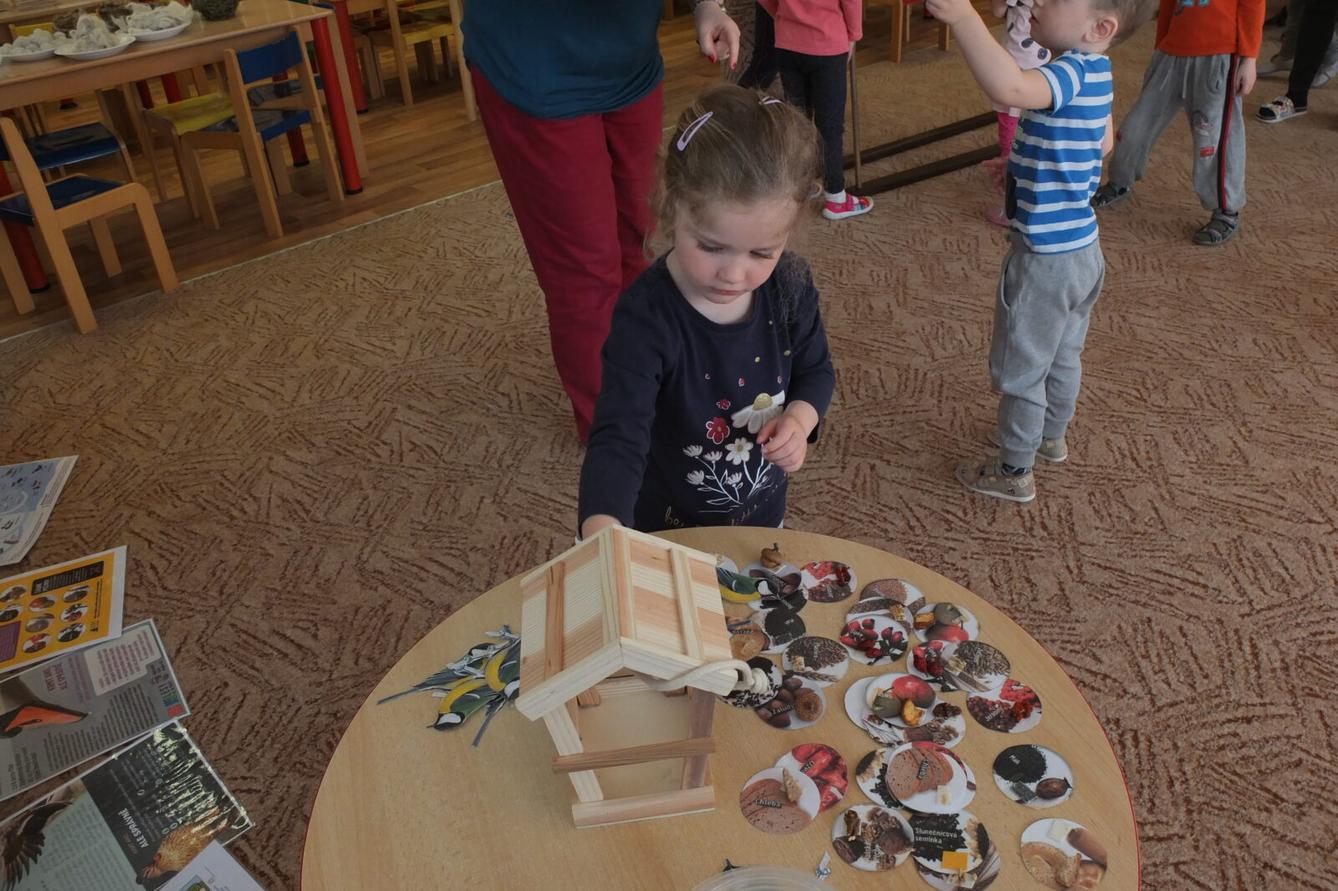 Program p. Adamcové - PTÁCI - 12