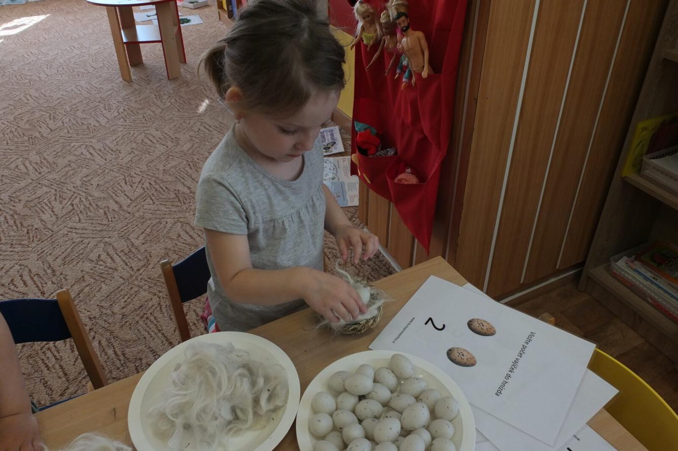 Program p. Adamcové - PTÁCI - 19