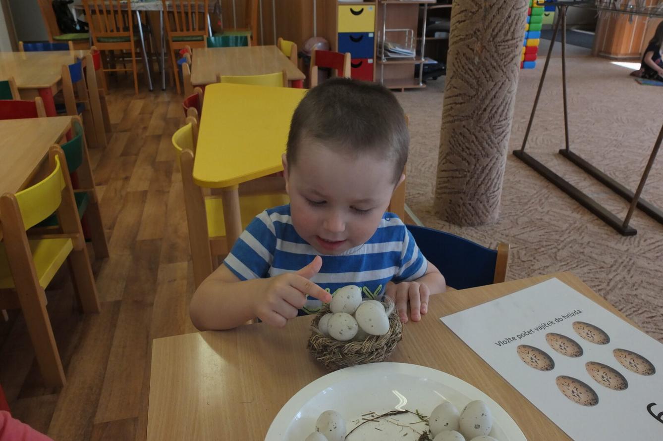 Program p. Adamcové - PTÁCI - 25