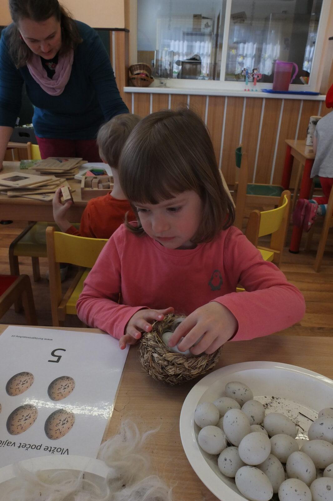 Program p. Adamcové - PTÁCI - 26