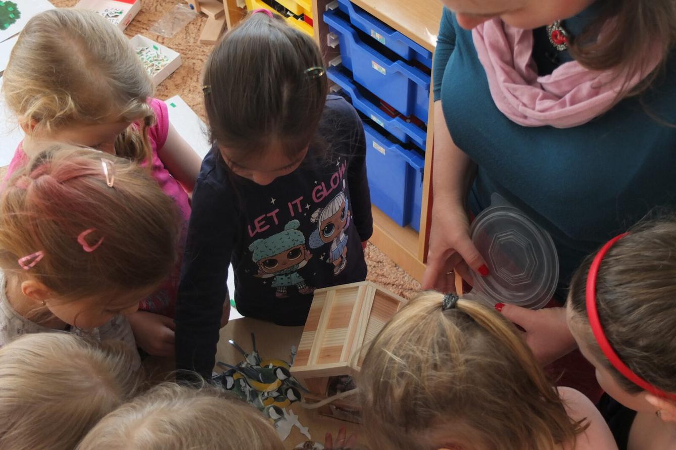 Program p. Adamcové - PTÁCI - 44