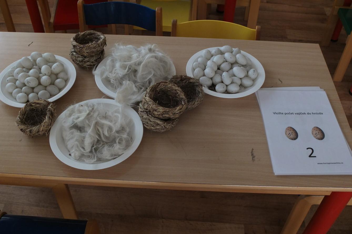 Program p. Adamcové - PTÁCI - 47