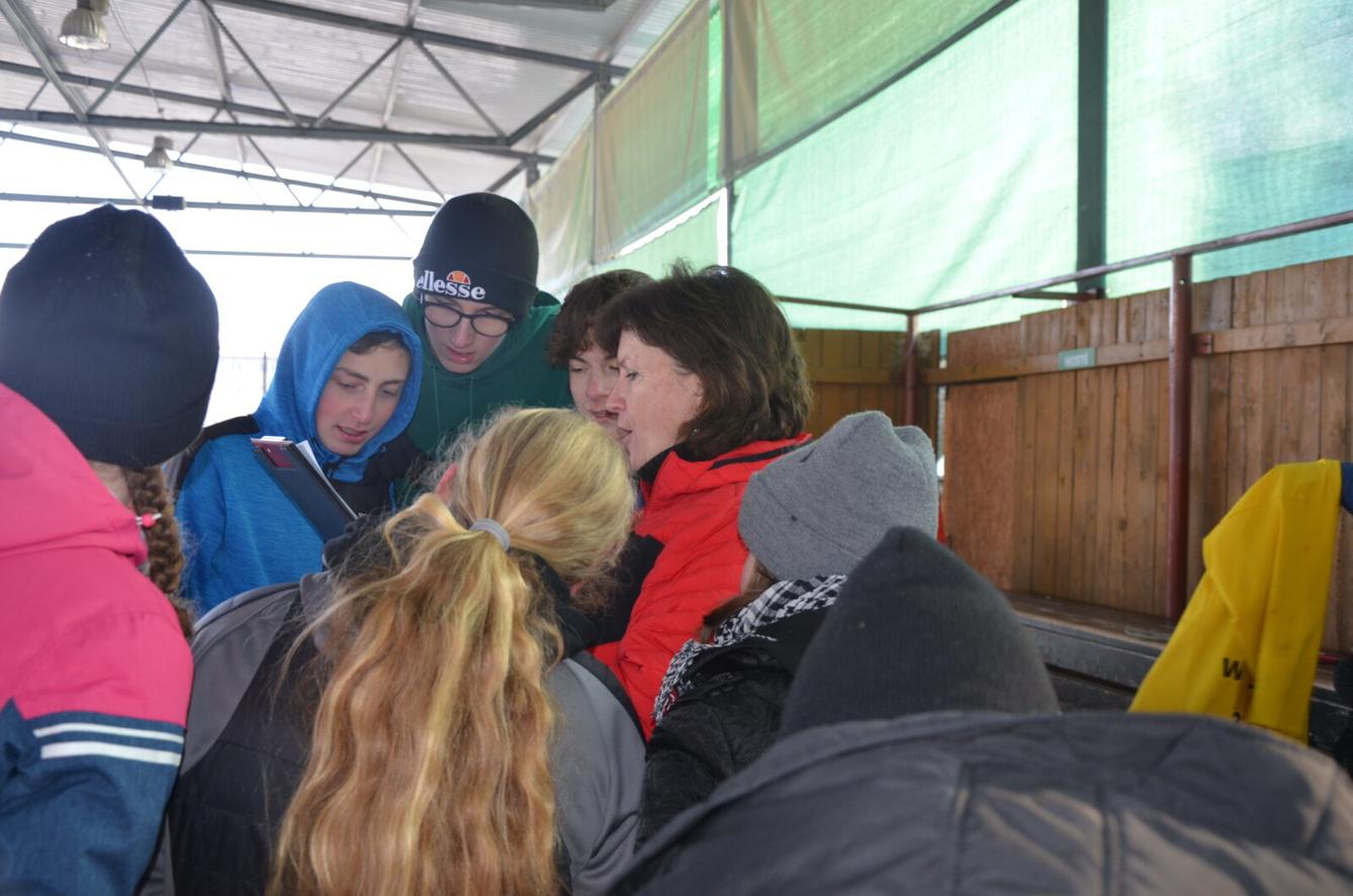 Vánoční bruslení II. stupně - 16