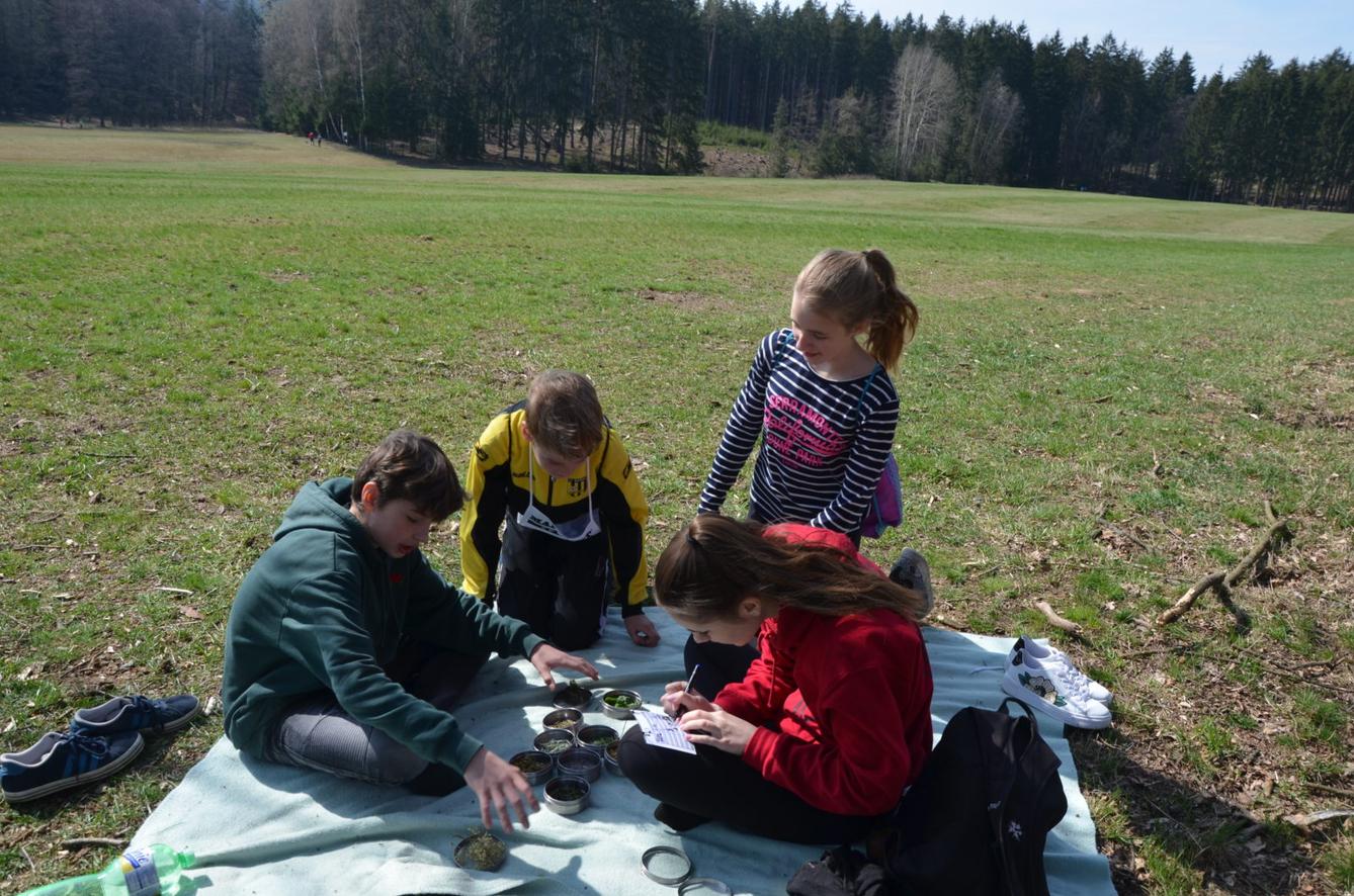 Orientační běh "Fáboráček 2019" - 22