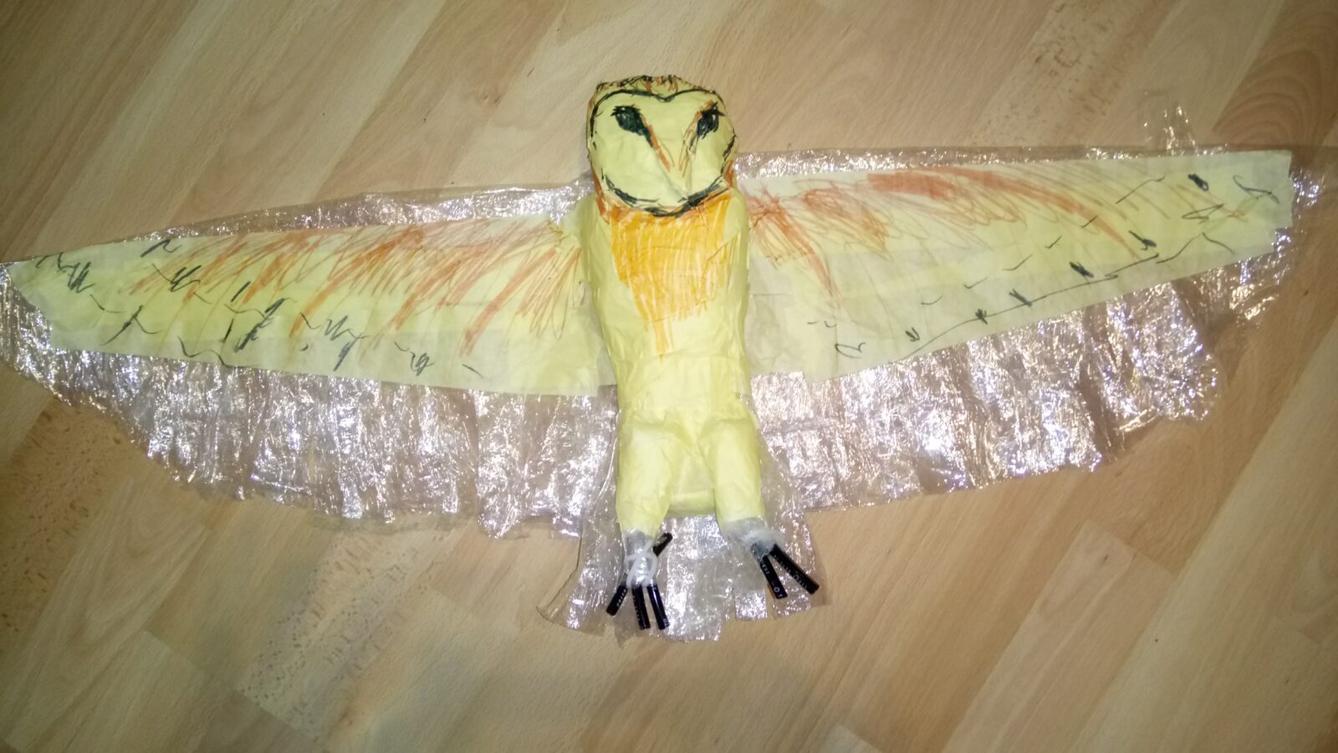 Spojení přírodopisu s pracovními činnostmi u sedmáků - 6