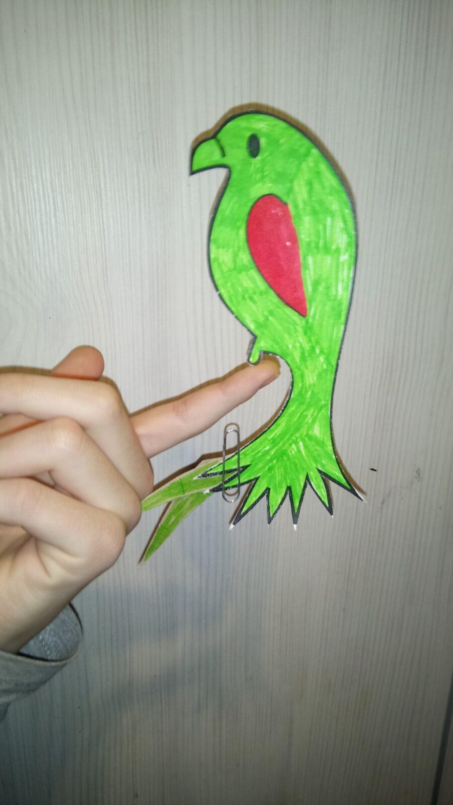 Papoušek na prstu - sedmáci - 5