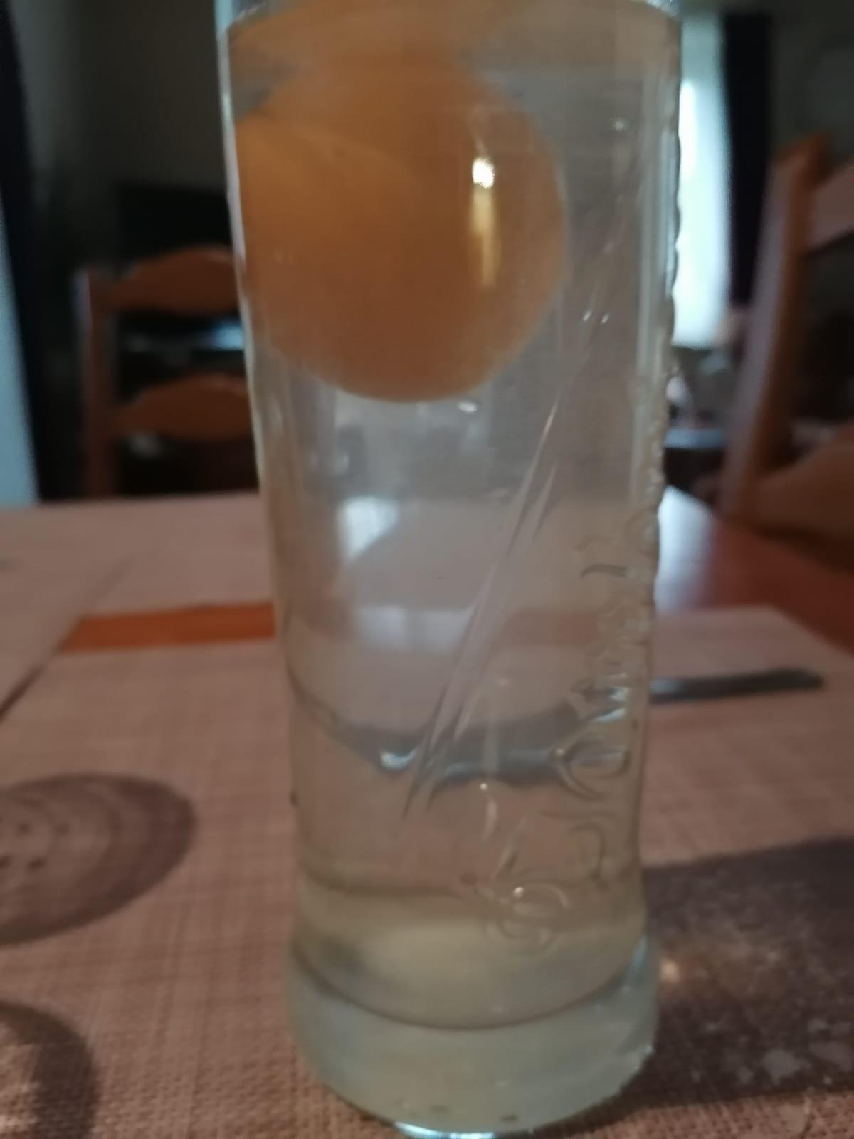 Projektový den svatý Martin a týden pokusů v 5.A - 1