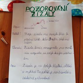 Jak zkoumali šesťáci žížaly - 4