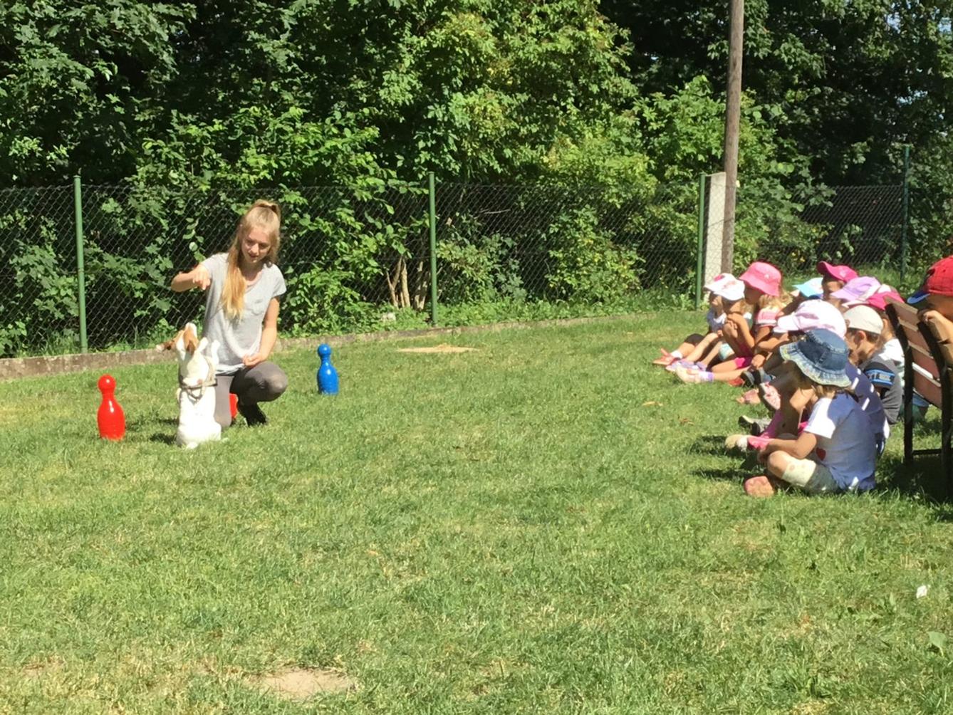 Vzpomínka na prázdniny - cvičení s pejskem - 20