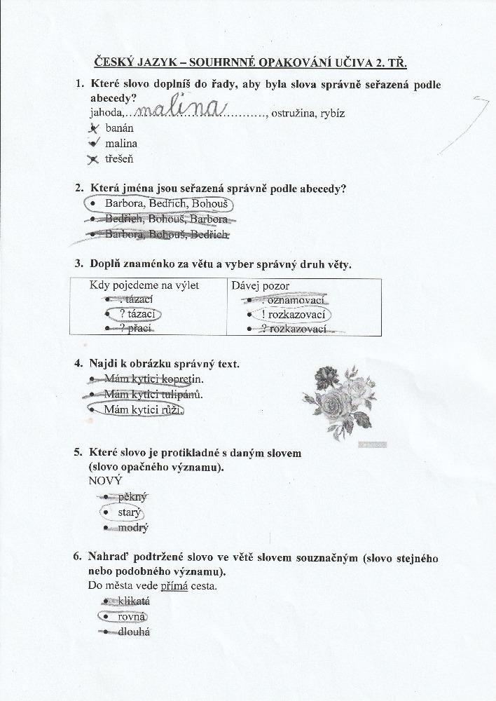 Výstupy druháčků z domácího i školního učení 16. 6. - 2