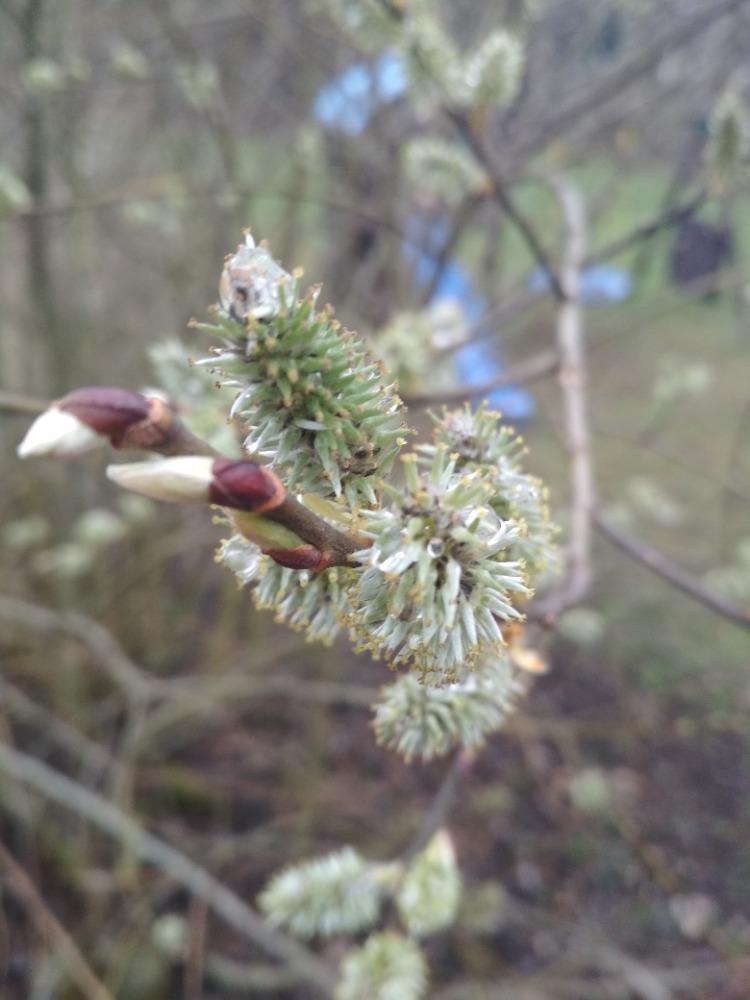 Distanční výuka ve třetí třídě 16. 4. - 6